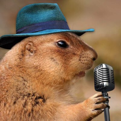 Pfarreichorprojekt: Chorsänger/innen gesucht!